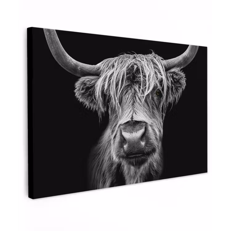 Schotse Hooglander - Horens - Zwart - Wit - Koe - Wild - Dieren canvas 2cm klein -z3d