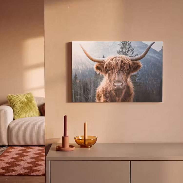Schotse hooglander - Koe - Dieren - Berg - Natuur canvas 2cm klein -sfeer1
