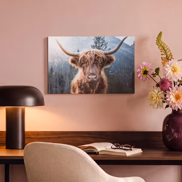 Schotse hooglander - Koe - Dieren - Berg - Natuur canvas 2cm klein -sfeer4
