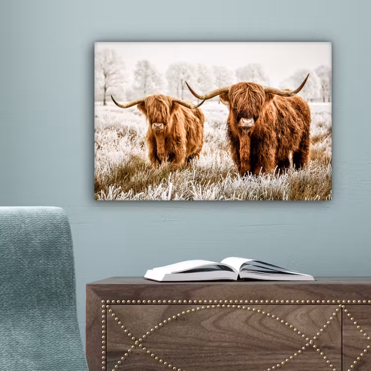 Schotse hooglander - Koe - Natuur - Winter canvas 2cm klein -sfeer4