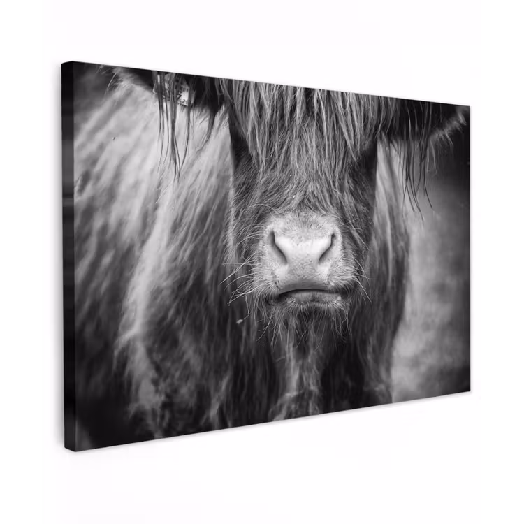 Schotse hooglander - Koe - Zwart - Wit - Dieren canvas 2cm klein -z3d