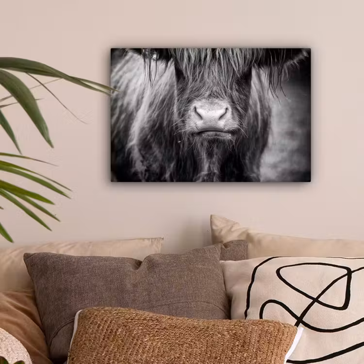 Schotse hooglander - Koe - Zwart - Wit - Dieren canvas 2cm klein -sfeer1