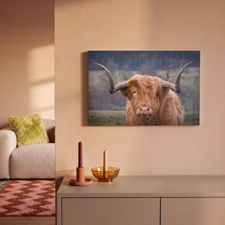 Schotse Hooglander - Koeienkop - Landschap - Natuur - Koe canvas 2cm klein -sfeer1