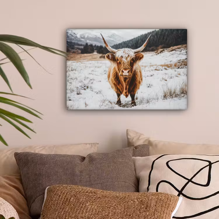 Schotse Hooglander - Landschap - Sneeuw - Bergen - Winter canvas 2cm klein -sfeer1