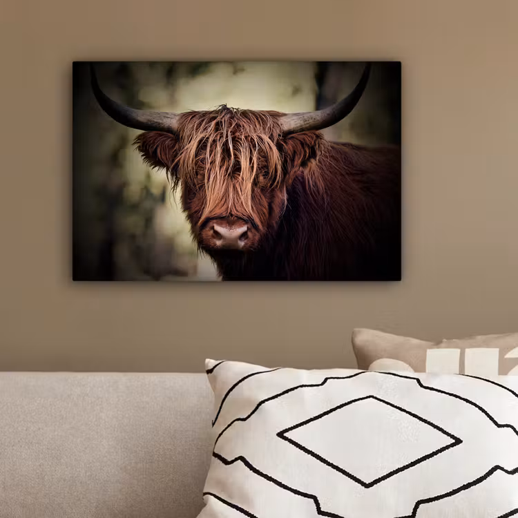 Schotse hooglander - Licht - Portret - Natuur canvas 2cm klein -sfeer3