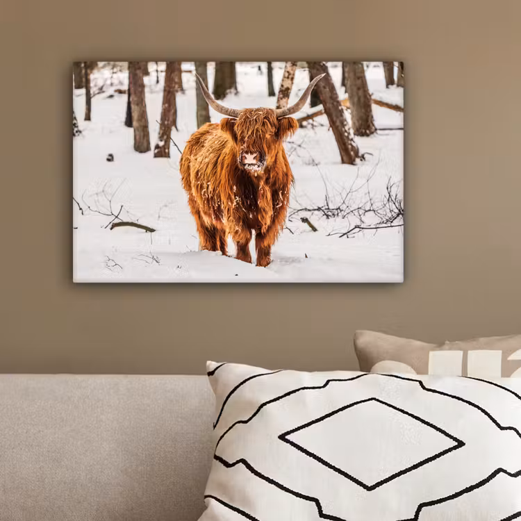 Schotse Hooglander - Sneeuw - Winter - Natuur - Dieren canvas 2cm klein -sfeer3