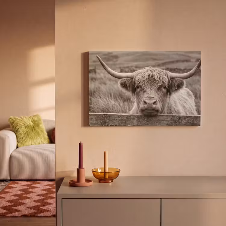 Schotse hooglander - Zwart - Wit - Hout canvas 2cm klein -sfeer1