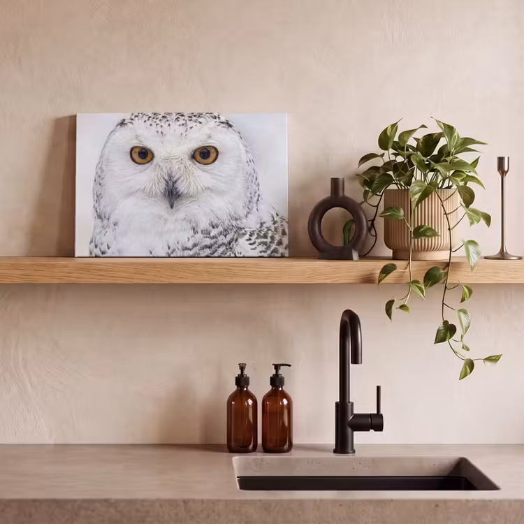 Sneeuwuil - Oog - Wildlife - Wit canvas 2cm klein -sfeer3