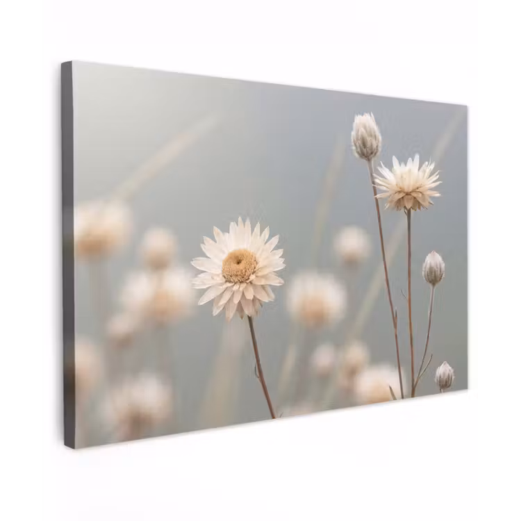 Strobloemen - Wit - Daglicht canvas 2cm klein -z3d