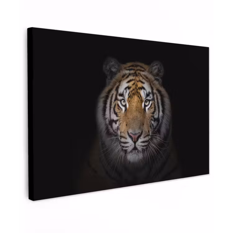 Tijger - Wilde dieren - Portret - Zwart - Dieren canvas 2cm klein -z3d