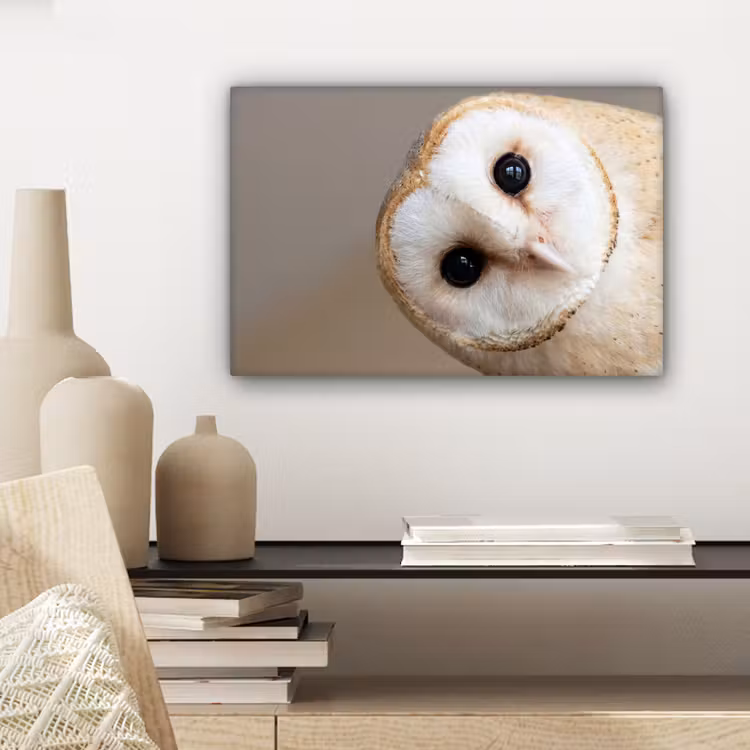 Uil - Bruin - Wit canvas 2cm klein -sfeer6