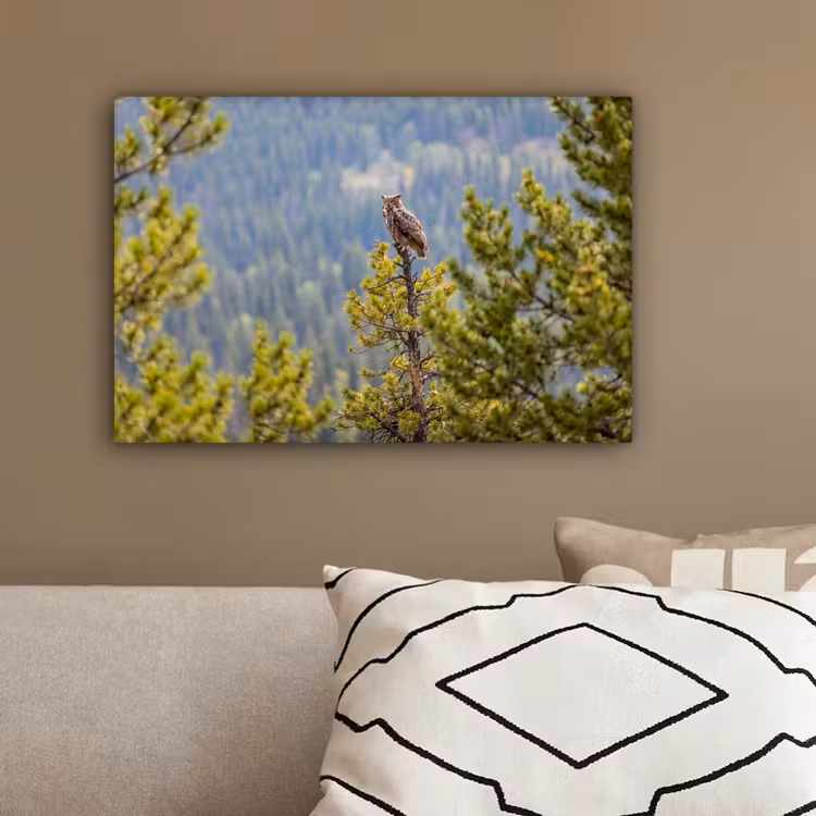 Uil - Oehoe - Bomen - Natuur canvas 2cm klein -sfeer3