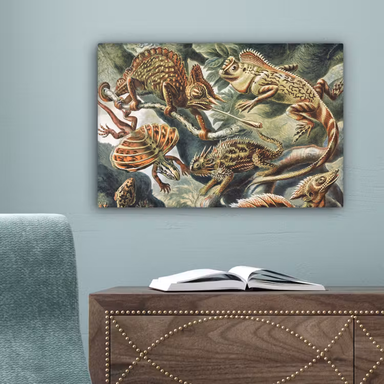 Vintage - Kunst - Ernst Haeckel - Salamanders - Dieren canvas 2cm klein -sfeer4