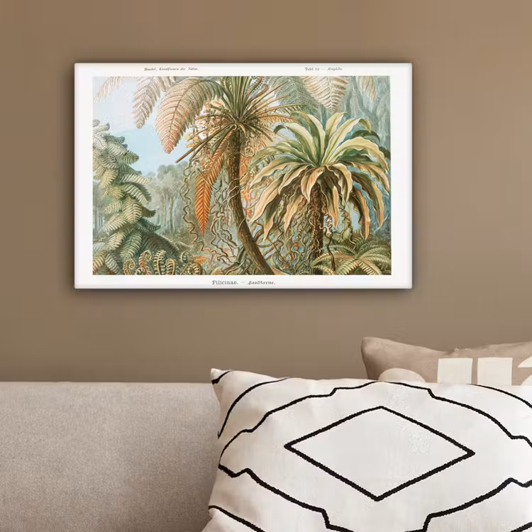 Vintage - Oude meesters - Varens - Planten - Natuur canvas 2cm klein -sfeer3