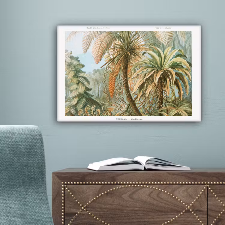 Vintage - Oude meesters - Varens - Planten - Natuur canvas 2cm klein -sfeer4