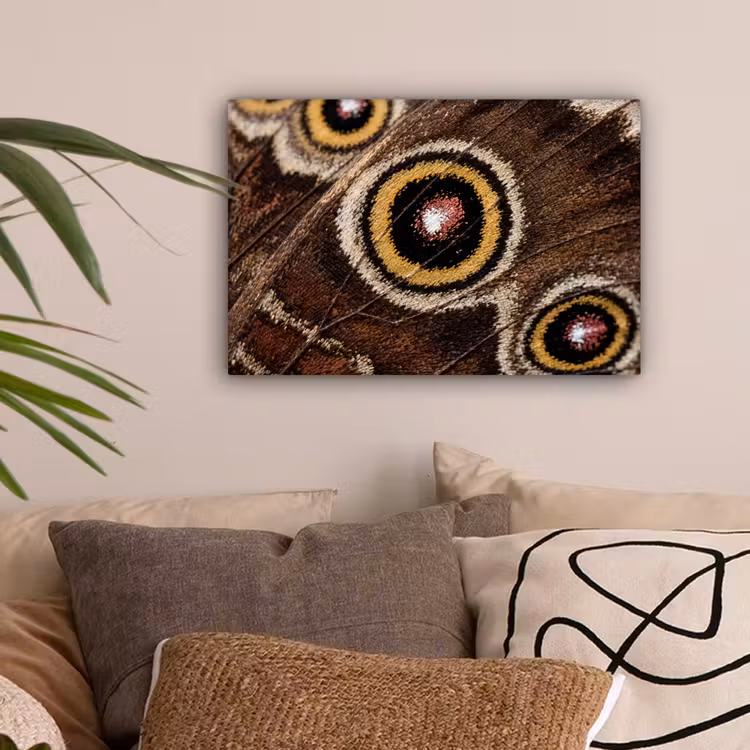 Vlinder - Vleugel - Abstract canvas 2cm klein -sfeer1