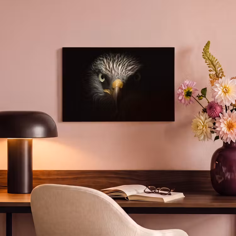 Vogel - Adelaar - Roofvogels - Oog - Snavel - Licht canvas 2cm klein -sfeer4