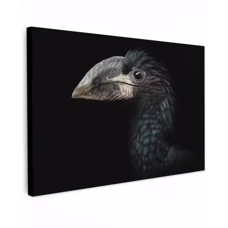 Vogel - Portret - Neushoornvogel - Zwart - Dieren canvas 2cm klein -z3d