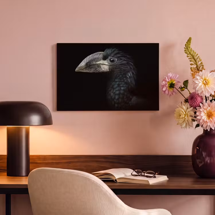 Vogel - Portret - Neushoornvogel - Zwart - Dieren canvas 2cm klein -sfeer4