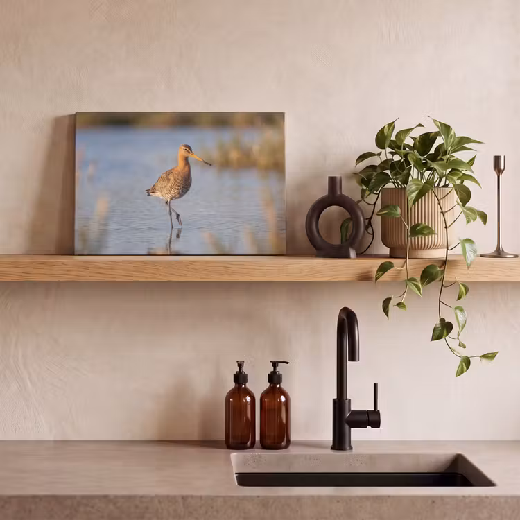 Vogel - Steltloper - Water - Natuur canvas 2cm klein -sfeer3