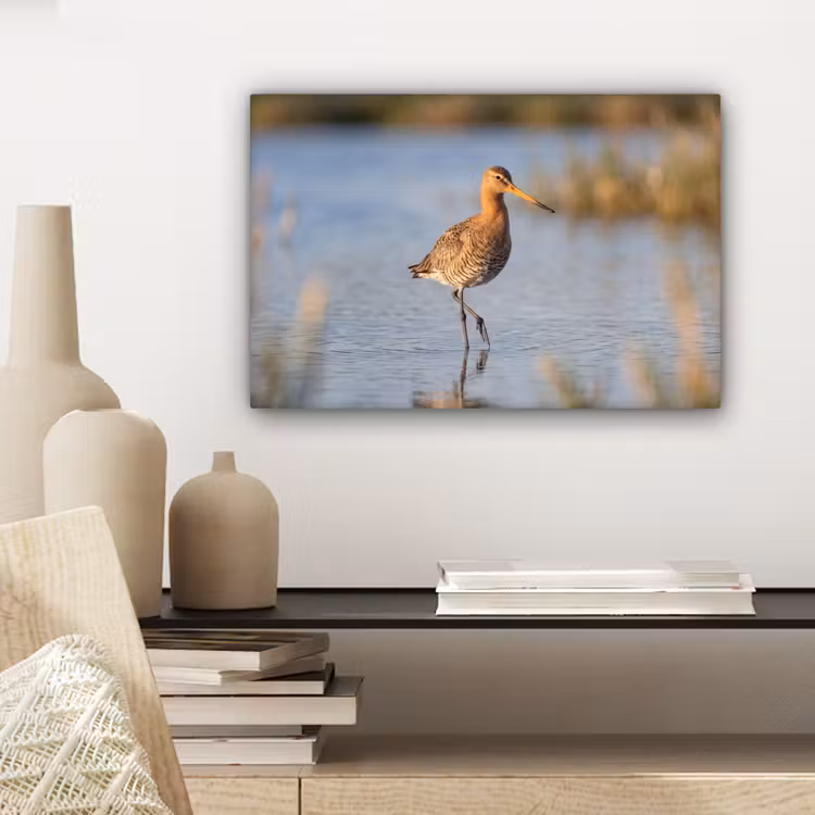 Vogel - Steltloper - Water - Natuur canvas 2cm klein -sfeer6