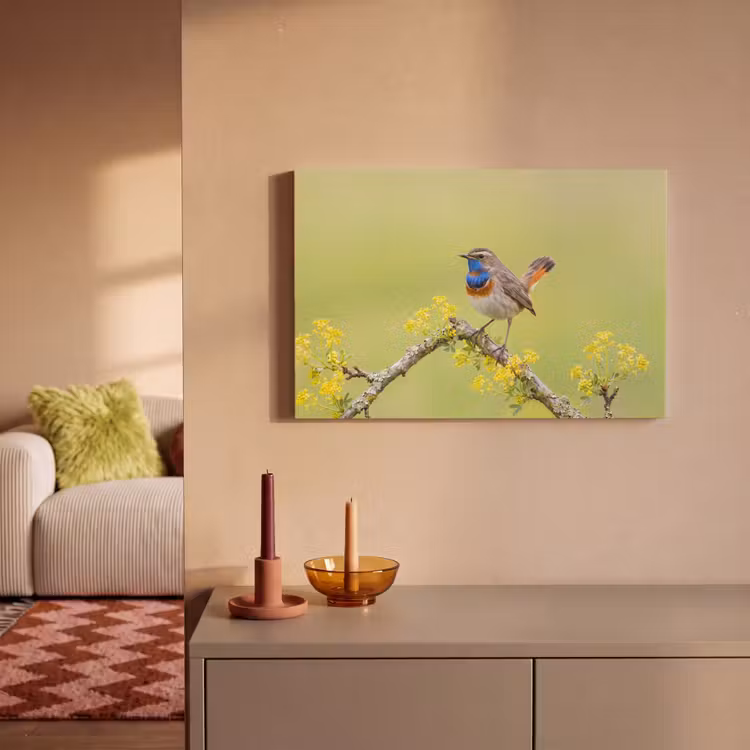 Vogel - Tak - Natuur - Kleurrijk canvas 2cm klein -sfeer1