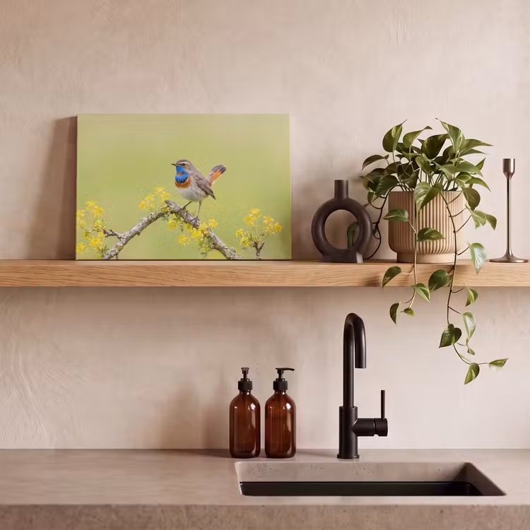 Vogel - Tak - Natuur - Kleurrijk canvas 2cm klein -sfeer3