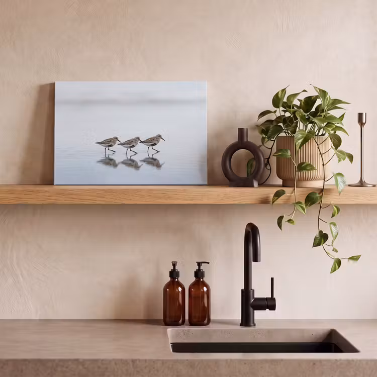 Vogels - Water - Grijs canvas 2cm klein -sfeer3