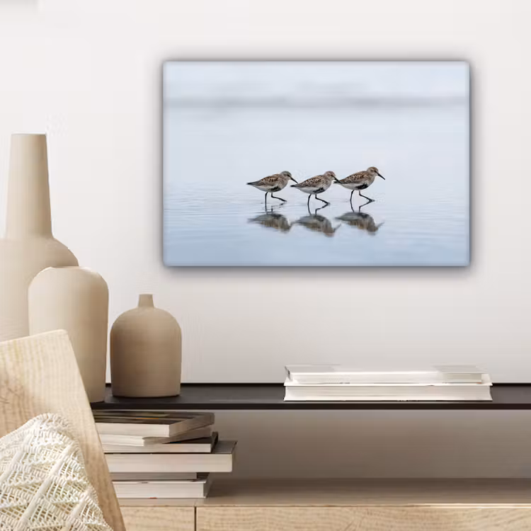 Vogels - Water - Grijs canvas 2cm klein -sfeer6