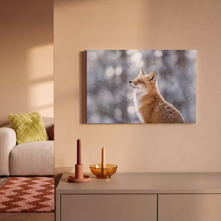 Vos - Sneeuwval - Portret - Winter - Sfeervol canvas 2cm klein -sfeer1