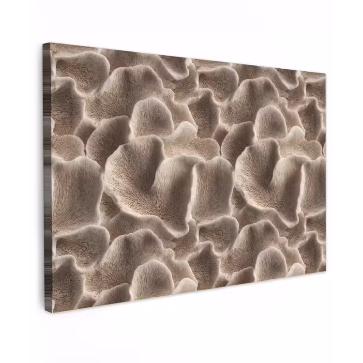 Waaiervorm - Beige - Vezel textuur canvas 2cm klein 34 -z3d