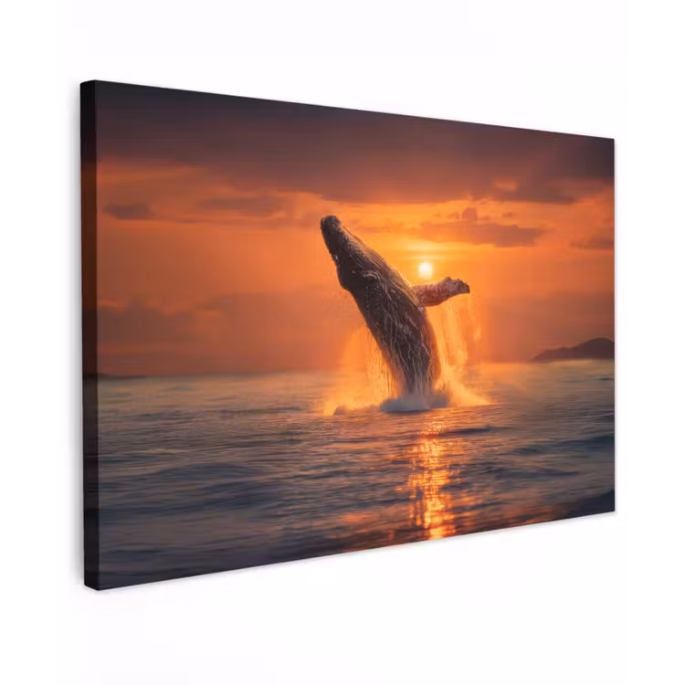 Walvis - Zon - Zee canvas 2cm klein -z3d