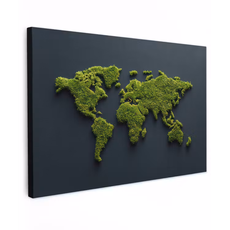 Wereldkaart - Mos -Levendig effect canvas 2cm klein -z3d