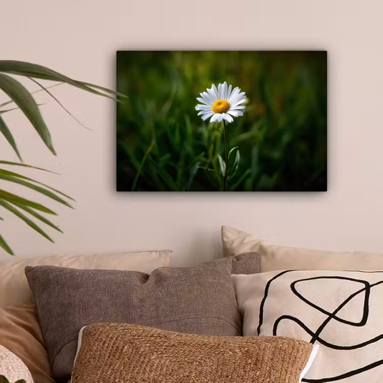 Wit - Madeliefje - Bloem - Gras canvas 2cm klein -sfeer1