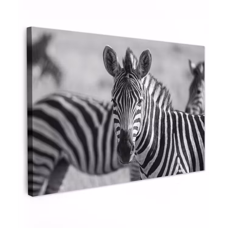 Zebra's - Zwart - Wit canvas 2cm klein -z3d
