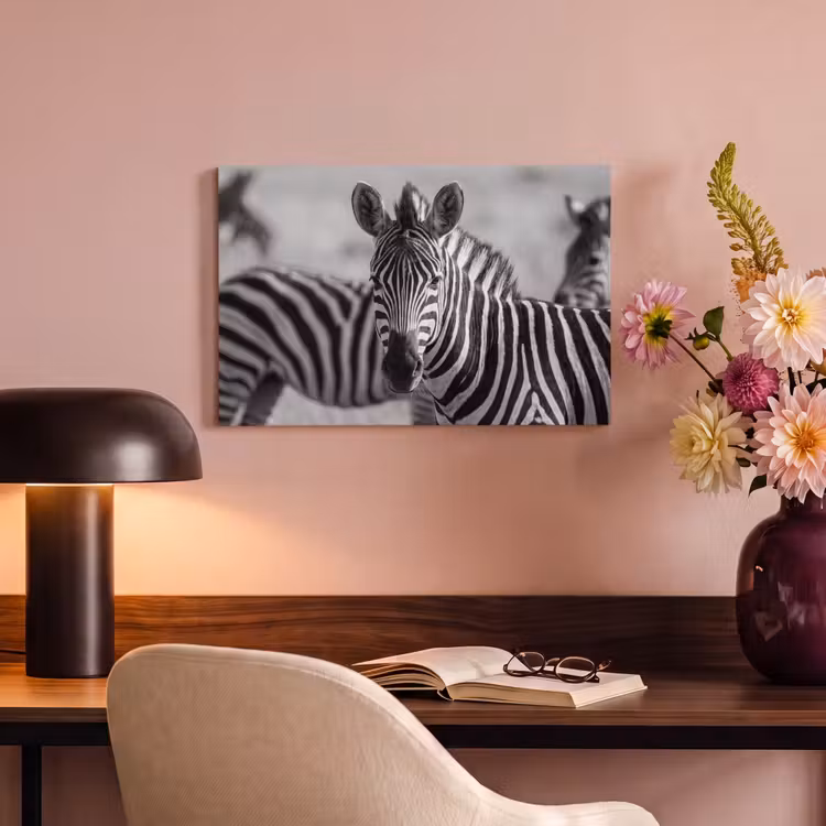 Zebra's - Zwart - Wit canvas 2cm klein -sfeer4