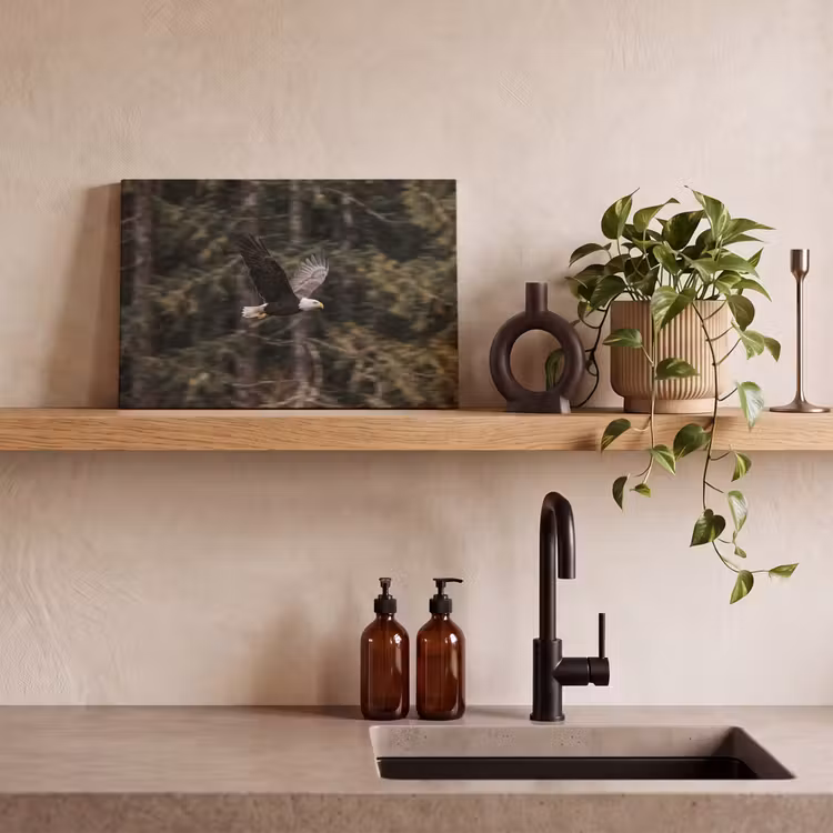 Zeearend - Vliegen - Bos - Natuur canvas 2cm klein -sfeer3