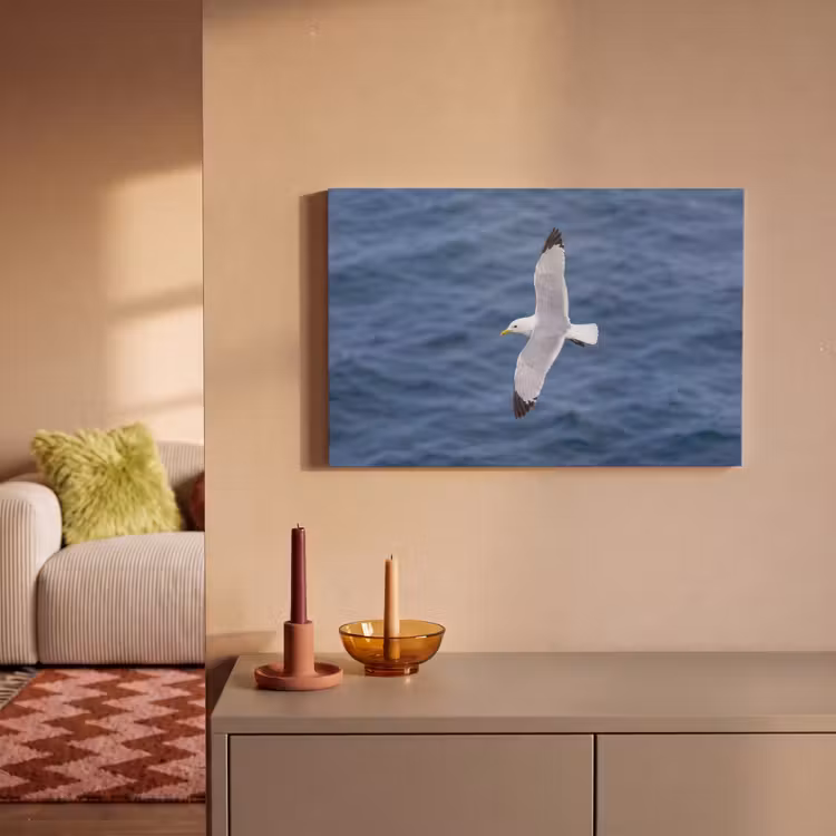 Zeemeeuw - Oceaan - Blauw canvas 2cm klein -sfeer1