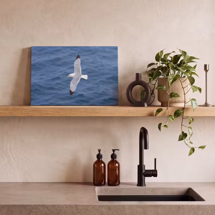 Zeemeeuw - Oceaan - Blauw canvas 2cm klein -sfeer3