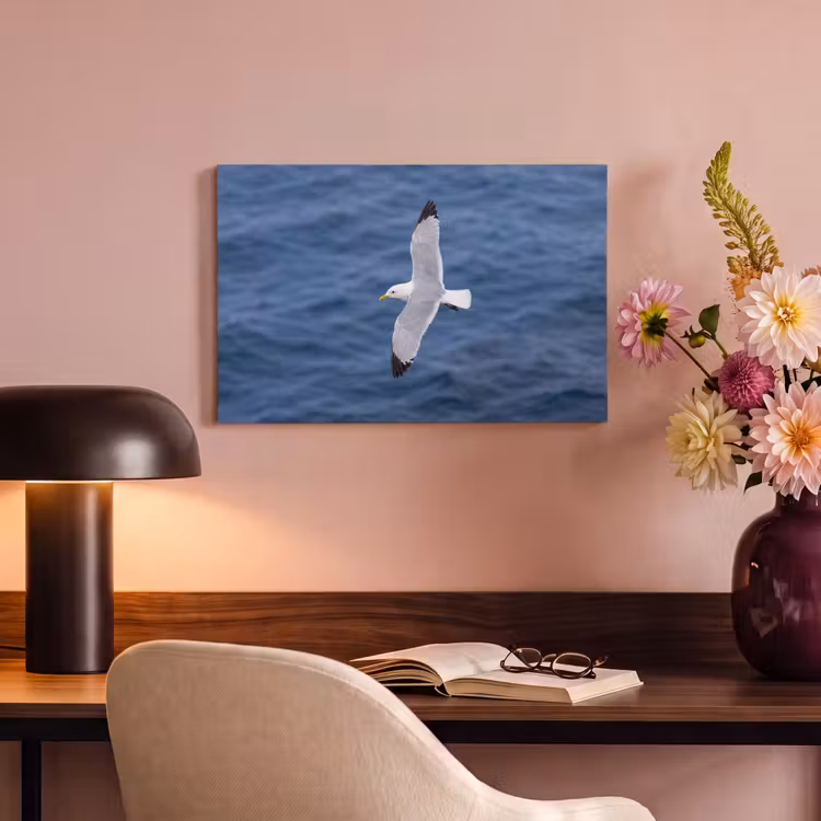Zeemeeuw - Oceaan - Blauw canvas 2cm klein -sfeer4
