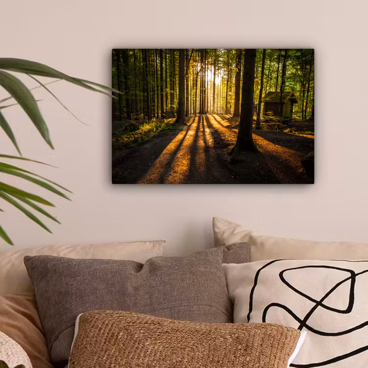 Zon - Bomen - Bos - Landschap - Natuur canvas 2cm klein -sfeer1