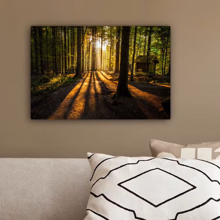 Zon - Bomen - Bos - Landschap - Natuur canvas 2cm klein -sfeer3