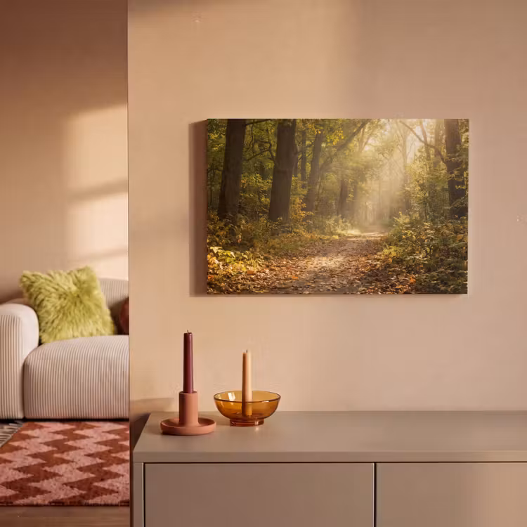 Zonlicht - Bospad - Bomen canvas 2cm klein -sfeer1