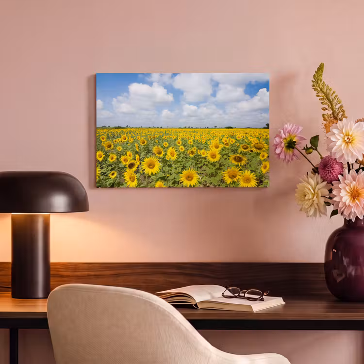 Zonnebloemen - Bloemen - Wolken - Natuur - Geel - Landschap canvas 2cm klein -sfeer4