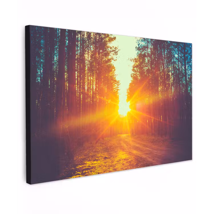 Zonsondergang - Bomen - Bos - Natuur canvas 2cm klein -z3d