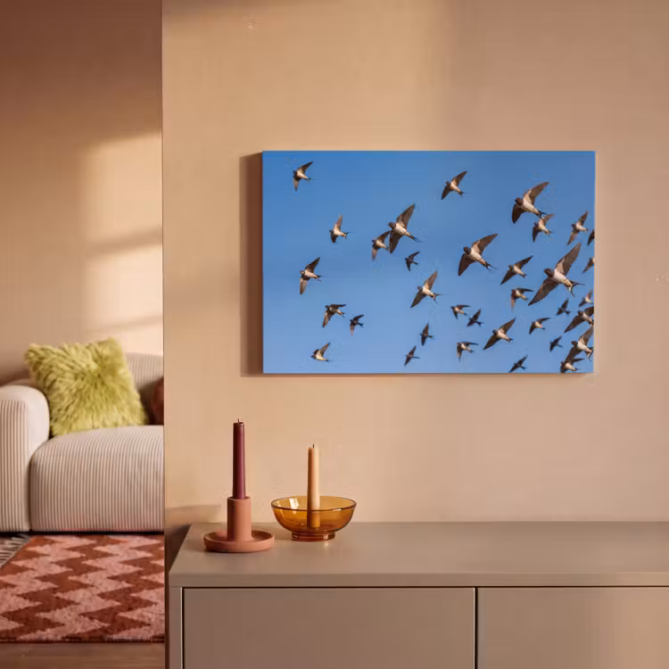 Zwaluwen - Vliegen - Blauw canvas 2cm klein -sfeer1