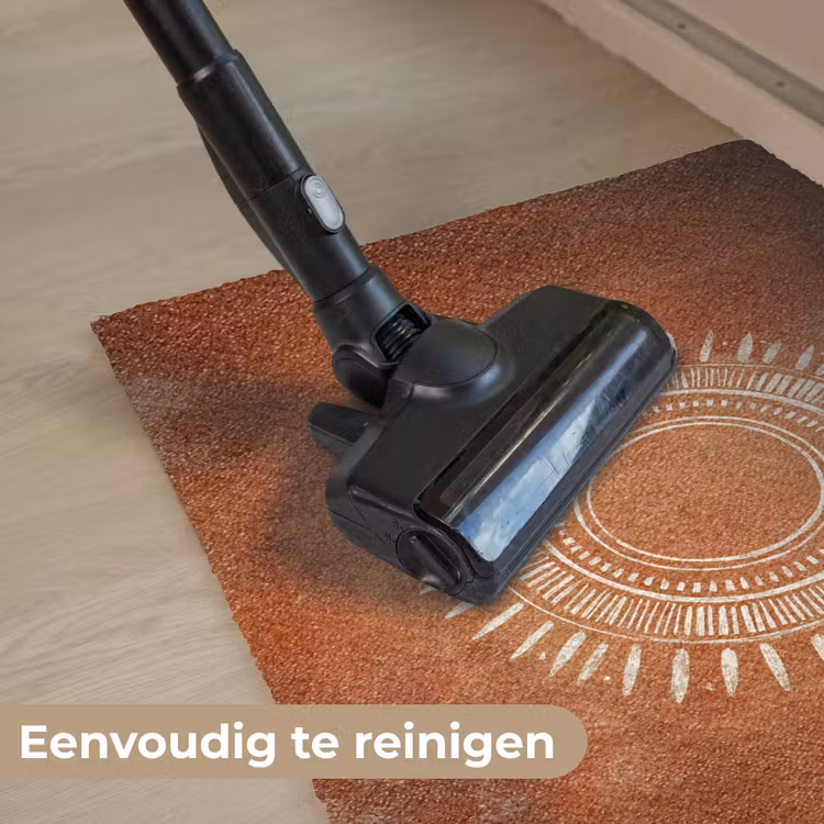 Abstract - Lijnen - Zonnestralen - Roodbruin Deurmat klein -reinigen_NL