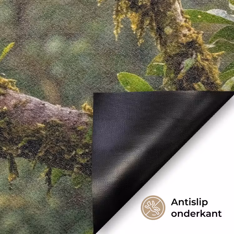 Ara - Jungle - Rood Deurmat klein -antislip_NL