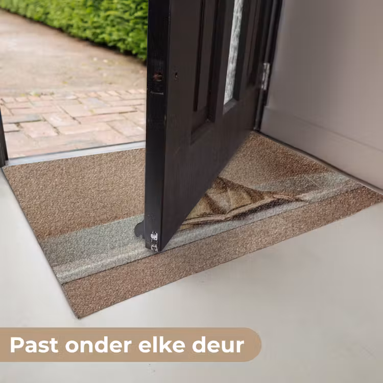 Bad - Hond - Boek - Zonnebril Deurmat klein -USP_NL