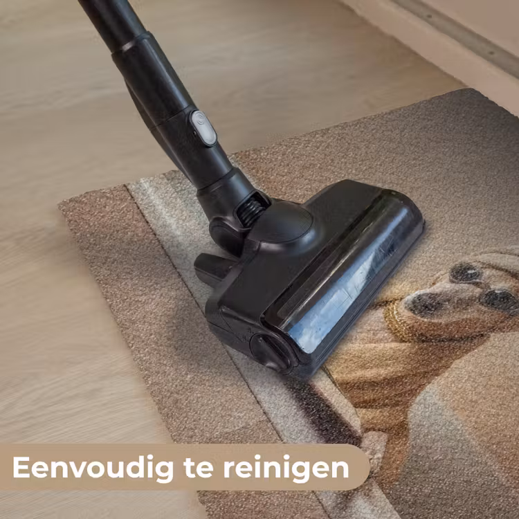 Bad - Hond - Boek - Zonnebril Deurmat klein -reinigen_NL